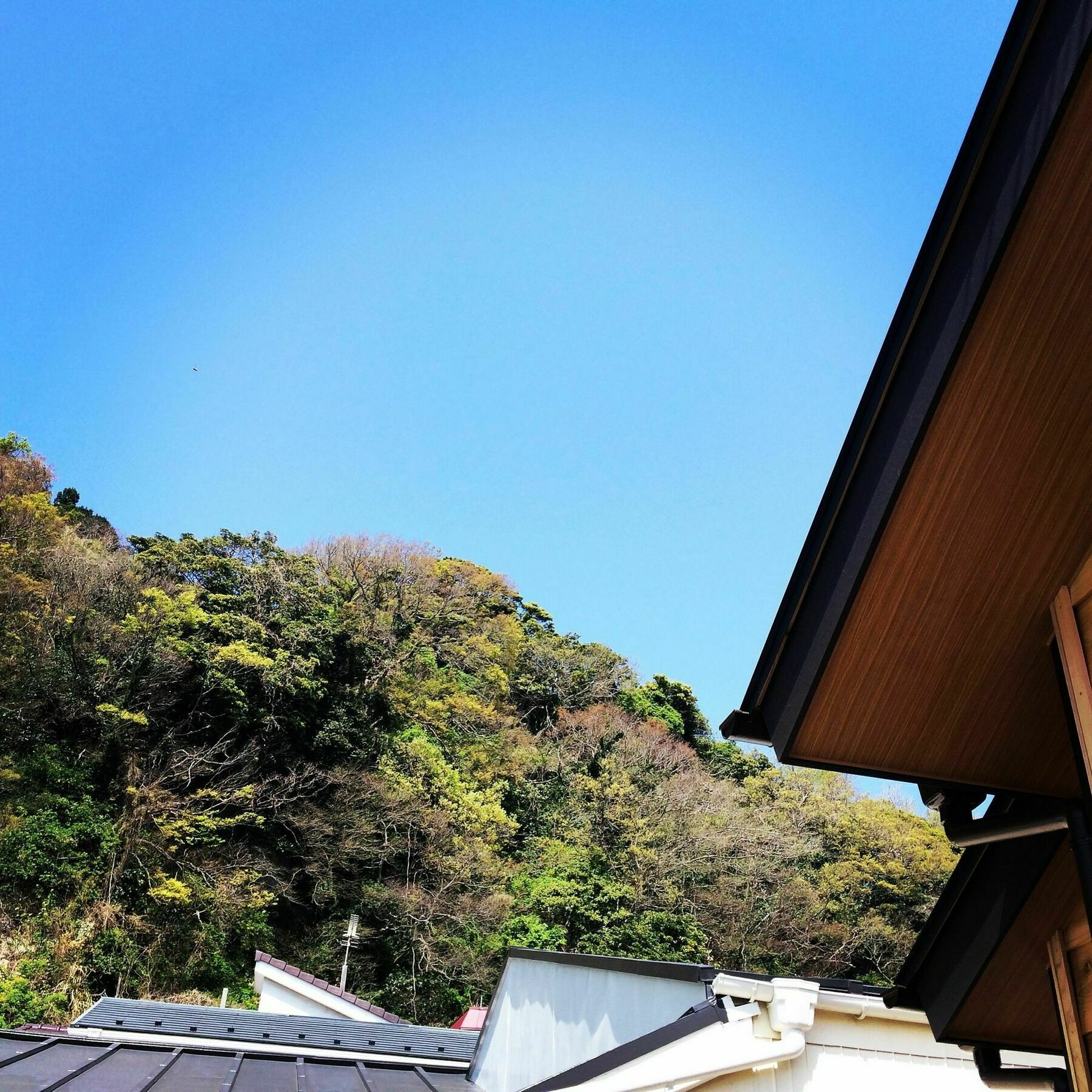 Guest House Kamakura Zen-Ji Ngoại thất bức ảnh