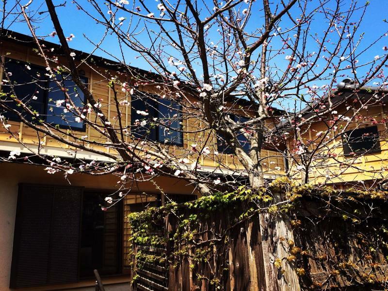 Guest House Kamakura Zen-Ji Ngoại thất bức ảnh